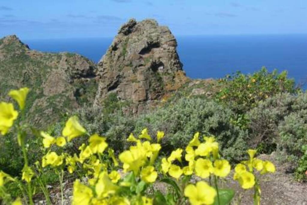 House Rural,Biosphere Reserve World.Taganana.Tfe. Santa Cruz de Tenerife Eksteriør bilde